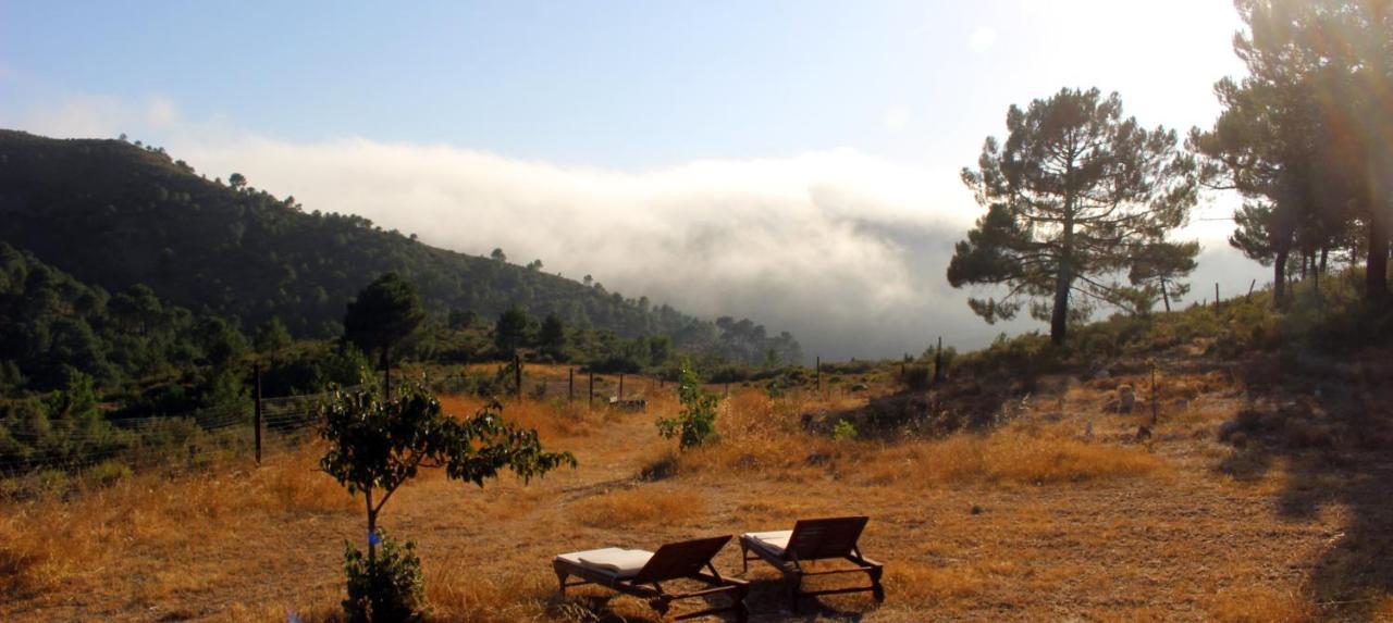 Esencia Lodge - Luxurious Off-Grid Cabin Retreat Almuñécar Exterior foto