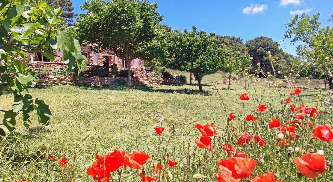 Esencia Lodge - Luxurious Off-Grid Cabin Retreat Almuñécar Exterior foto